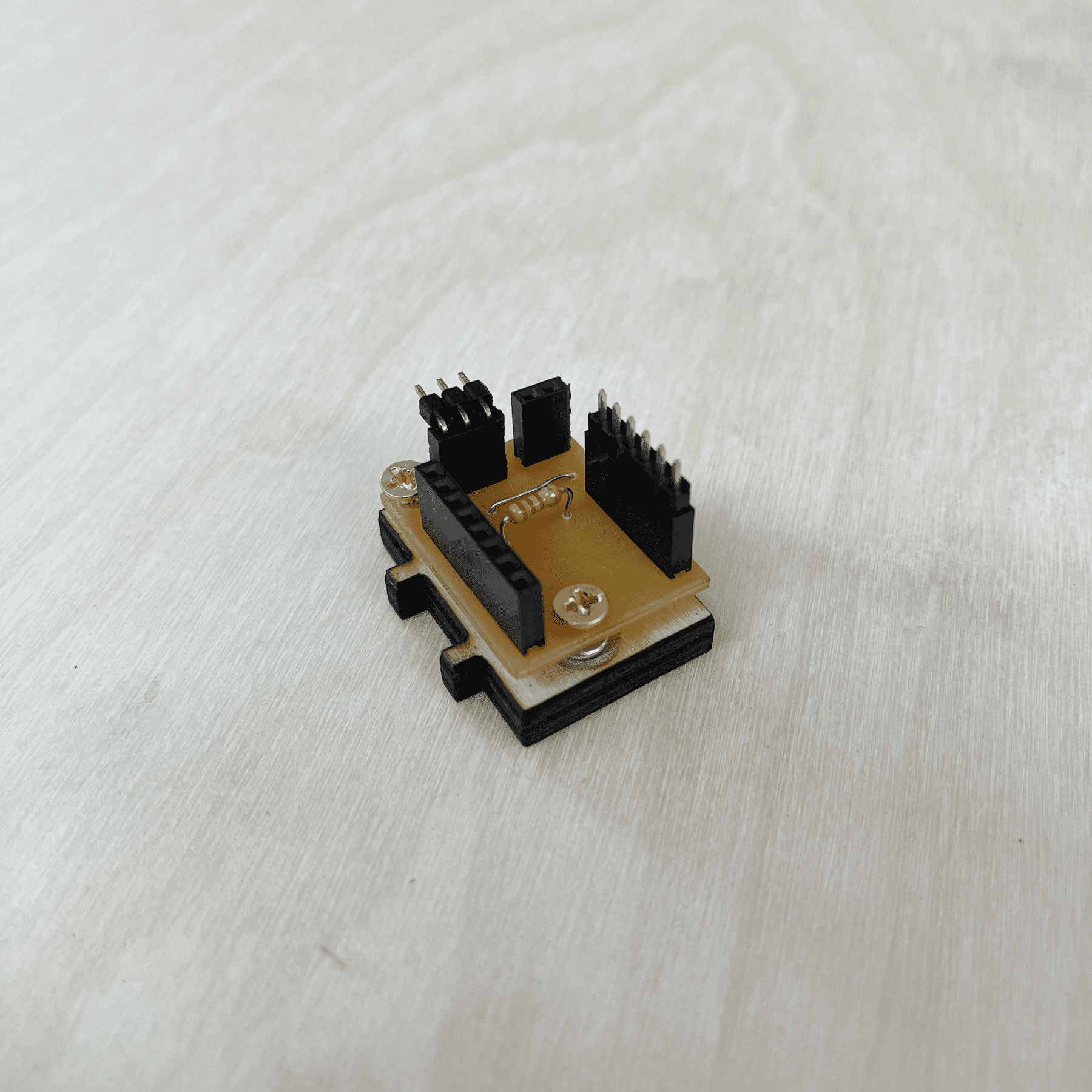 The PCB mount